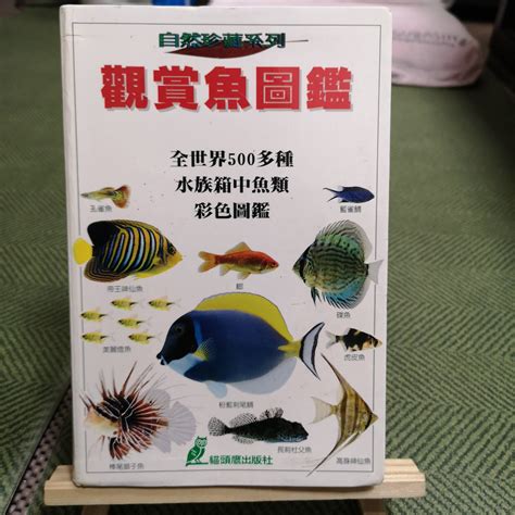 買房 地段 中型觀賞魚圖鑑